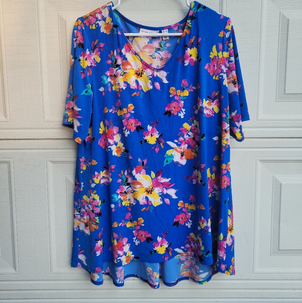 Susan Graver Blouse